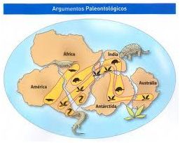 Argumentos-Paleontológicos