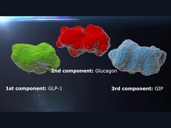 3-em-1: nova droga contra a obesidade é composta pela estrutura de três hormônios que agem sobre o controle da glicose no sangue e da gordura corporal: peptídeo-1 semelhante ao glucagon (esq.), glucagon (centro) e peptídeo inibidor gástrico (dir). Crédito: Brian Finan e Matthias Tschöp