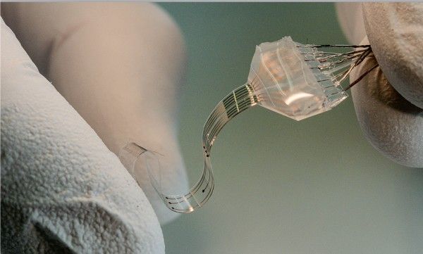 Implantado diretamente na medula, o dispositivo e-Dura (acima) restaurou os movimentos naturais das patas traseiras de ratos. Crédito: EPFL/Alain Herzog