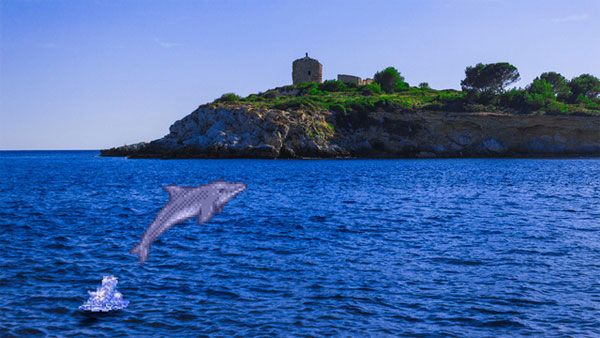 img artistas brasileiros 16bit reais 19 Nintendo, SNES TecheNet Img_artistas_brasileiros_16bit_reais_19