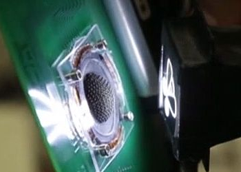 Nova-câmara-permite-ver-como-uma-abelha