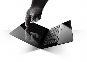 Img_corning_glass_nbt_01