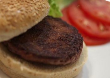 Sergey brin paga 330 mil dólares por hamburguer sintético