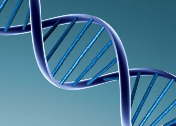 Mutações genéticas dos 30 cancros mais comuns foram descobertas