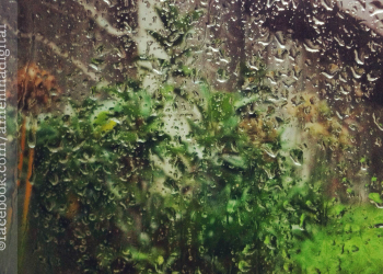 Das cantigas de [des]amor e o acordar da solidão.