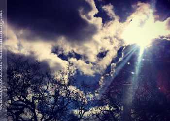 Da saudade dos dias de sol… nascem cartas imaginárias.