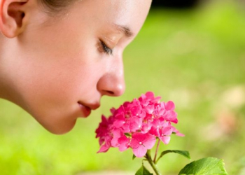 Nariz humano pode detectar um trilhão de odores, sugerem pesquisadores