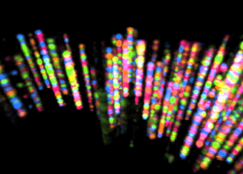 Cores da vida: método mapeia a atividade do rna dentro das células