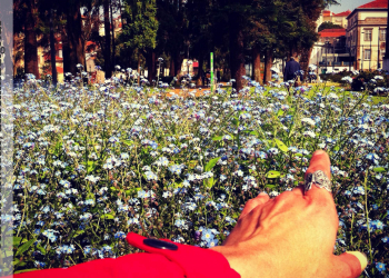 Devem mesmo gostar muito desta tal primavera…