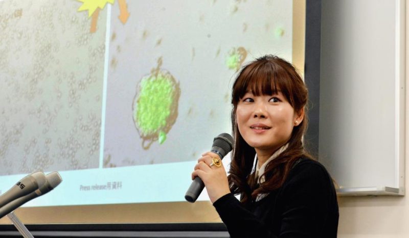 Em artigos publicados em janeiro, a Dra. Haruko Obokata declarou ter sido capaz de criar células-tronco embrionárias a partir de um método inovador. Crédito: Asahi Shimbun/Getty