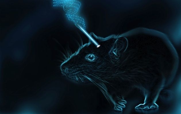 Memória ioiô: cientistas obtiveram êxito no controle do fortalecimento e enfraquecimento das conexões entre neurônios dos cérebros de ratos, provocando, respectivamente, a formação e o esquecimento de uma memória — usando a luz. Imagem: Sadegh Nabavi e Sina Alizadeh