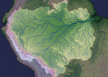 Na contramão: como o fluxo do rio amazonas se inverteu