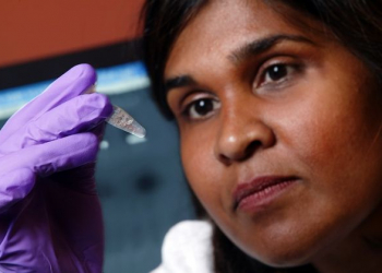 Hiv é detectado novamente em bebê “curado” do mississippi