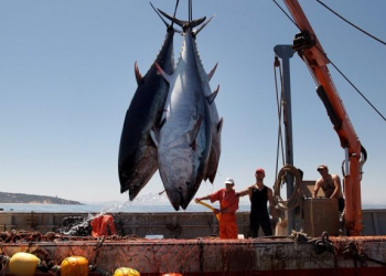 Ação humana triplicou os níveis de mercúrio na superfície dos oceanos
