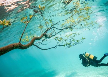 Traveler photo contest: conheça as fotos vencedoras