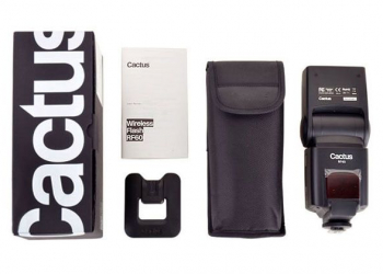 Cactus chega a portugal com a robisa