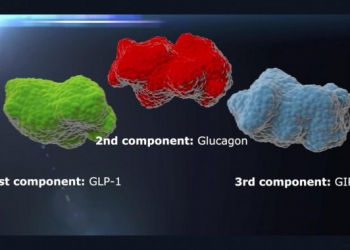 Medicamento 3-em-1 reduz a massa corporal em um terço do total
