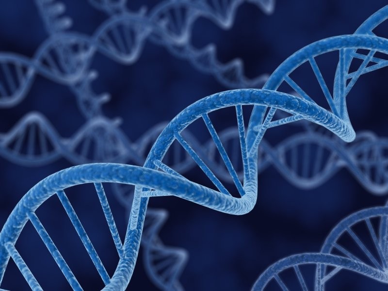 As moléculas replicadoras modernas, DNA e RNA, são compostas por bases, os nucleotídeos. Pesquisadores de Cambridge, no Reino Unido, obtiveram moléculas precursoras  dos nucleotídeos através de reações simples e compostos orgânicos abundantes na Terra prebiótica, sugerindo que tais moléculas provavelmente se desenvolveram em locais distintos, mas foram unidas por correntes de água.  