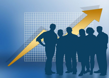 Bizdirect cresce 20% em volume de negócios