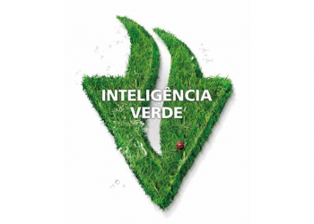 Conceito inteligência verde