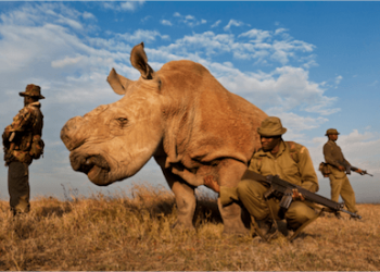 Fotografias icónicas que marcaram a última década