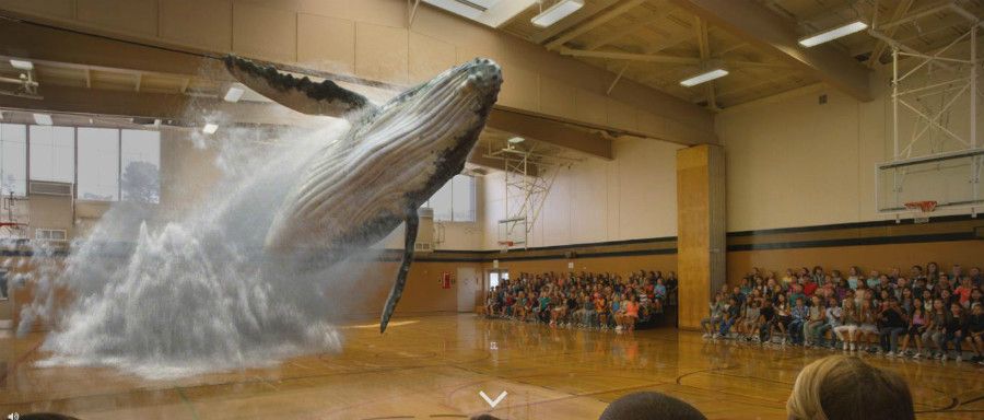 Magic Leap põe baleia no ginásio: a misteriosa startup de realidade ...