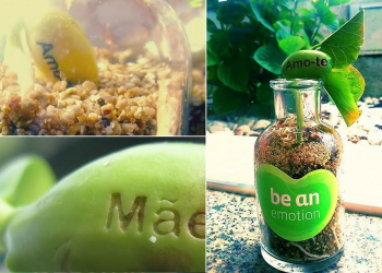 Be an emotion: um presente original, económico e verde.