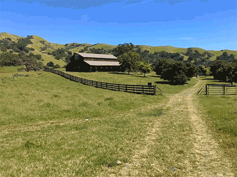 motion stills 1 App, google, iOS, iphone, Live Photo, Motion Stills TecheNet Motion stills 1