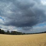 2016 0101 183605 003 câmara de ação