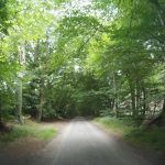 2016 0101 184407 002 câmara de ação