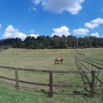 2016 0102 180244 004 câmara de ação