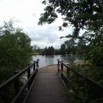 2016 0105 155955 002 câmara de ação