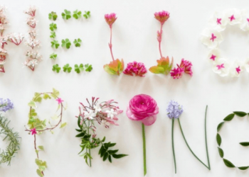 Moda primavera / verão 2017