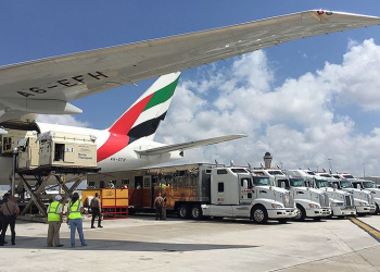 Emirates skycargo transporta perto de 100 cavalos de salto por 3 continentes