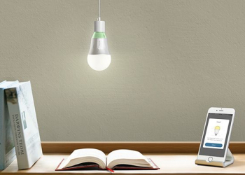Lâmpada inteligente tp-link lb100 considerada "a melhor proposta de valor no mercado"