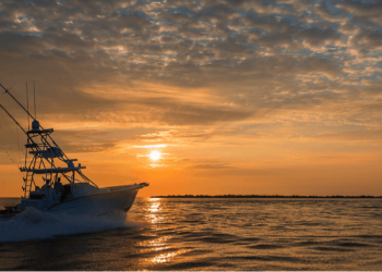 Garmin compra trigentic