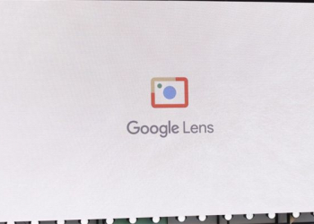 Google lens agora consegue reconhecer raças de cães e gatos