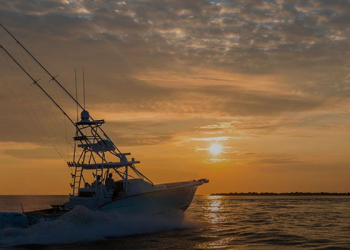 Garmin vai marcar presença na nauticampo 2018