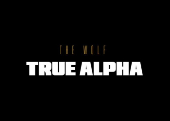 Cibersegurança: hp anuncia the wolf: true alpha