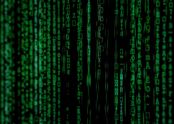 Check point mostra a insegurança de novembro