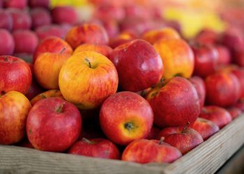 Apple iphone se maçãs online