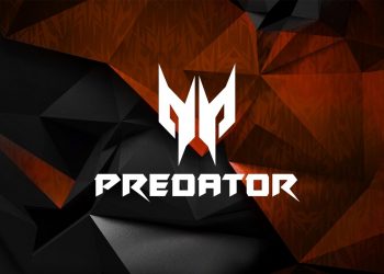 Acer predator