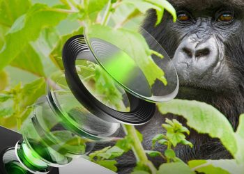 Corning gorilla glass samsung