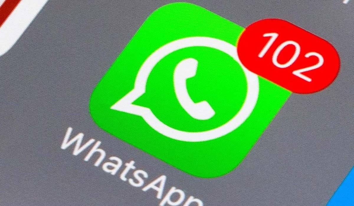 WhatsApp começa a receber novo visual com Material You