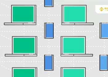 As redes peer-to-peer (p2p) no contexto das criptomoedas