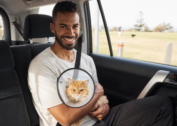 5 dicas para utilizar o uber pet