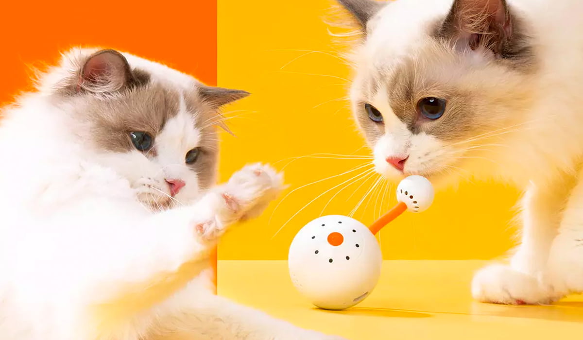 Xiaomi lança o melhor brinquedo de sempre para gatos! – [Blog GigaOutlet]