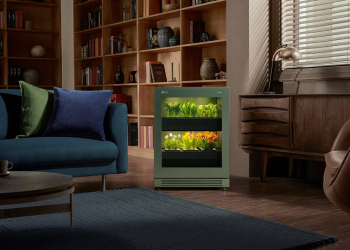 Solução de jardinagem indoor da lg será revelada no ces 2022