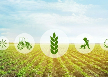 Aplicações agrícolas: forma fácil de gerenciar sua fazenda e suas culturas