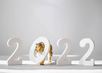 Os tigres e as tendências de investimento: o mundo atento ao urânio